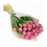 31 розовый тюльпан